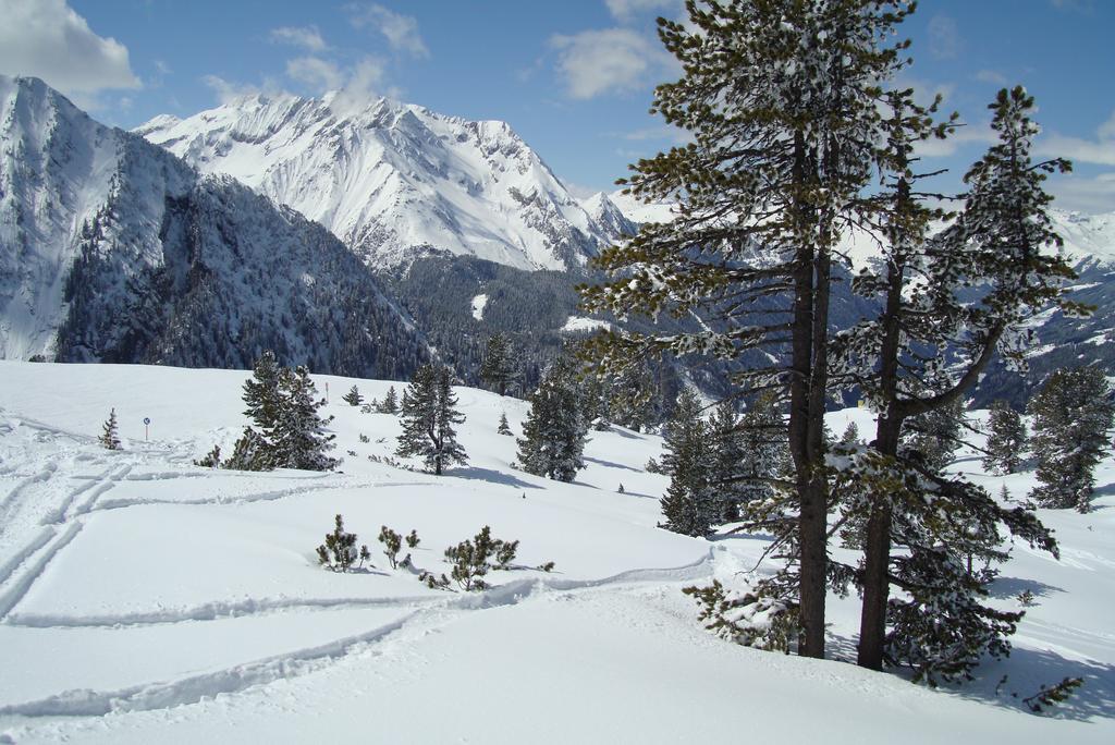 Ferienwohnungen Kroll - Appartements Viktoria Und Landhaus Maria Mayrhofen Extérieur photo