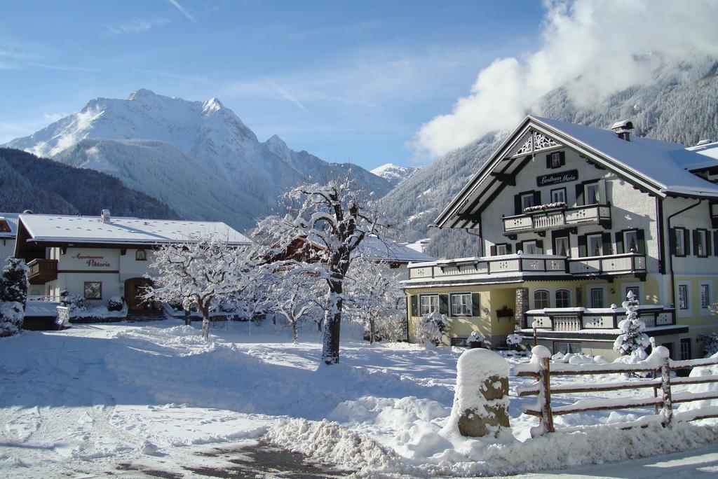 Ferienwohnungen Kroll - Appartements Viktoria Und Landhaus Maria Mayrhofen Extérieur photo