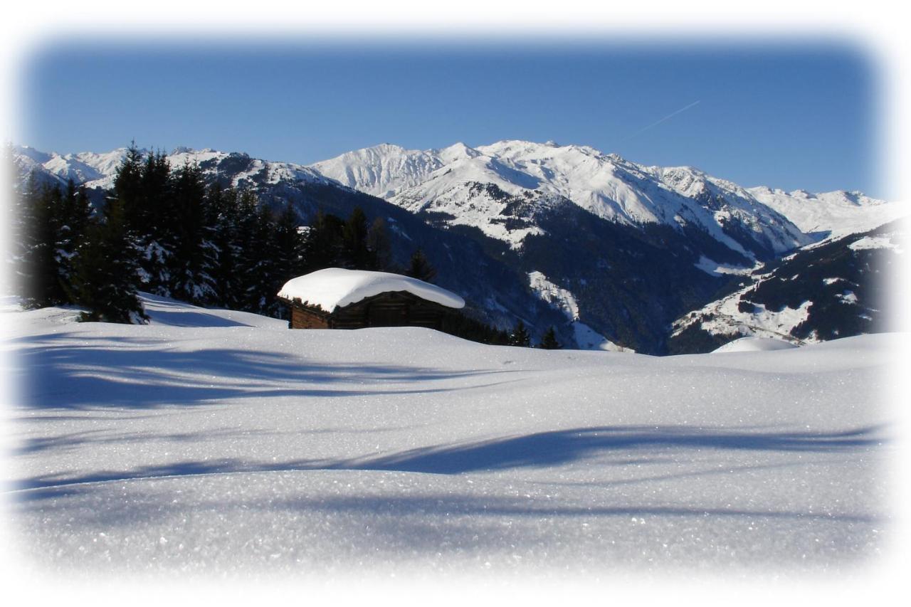 Ferienwohnungen Kroll - Appartements Viktoria Und Landhaus Maria Mayrhofen Extérieur photo